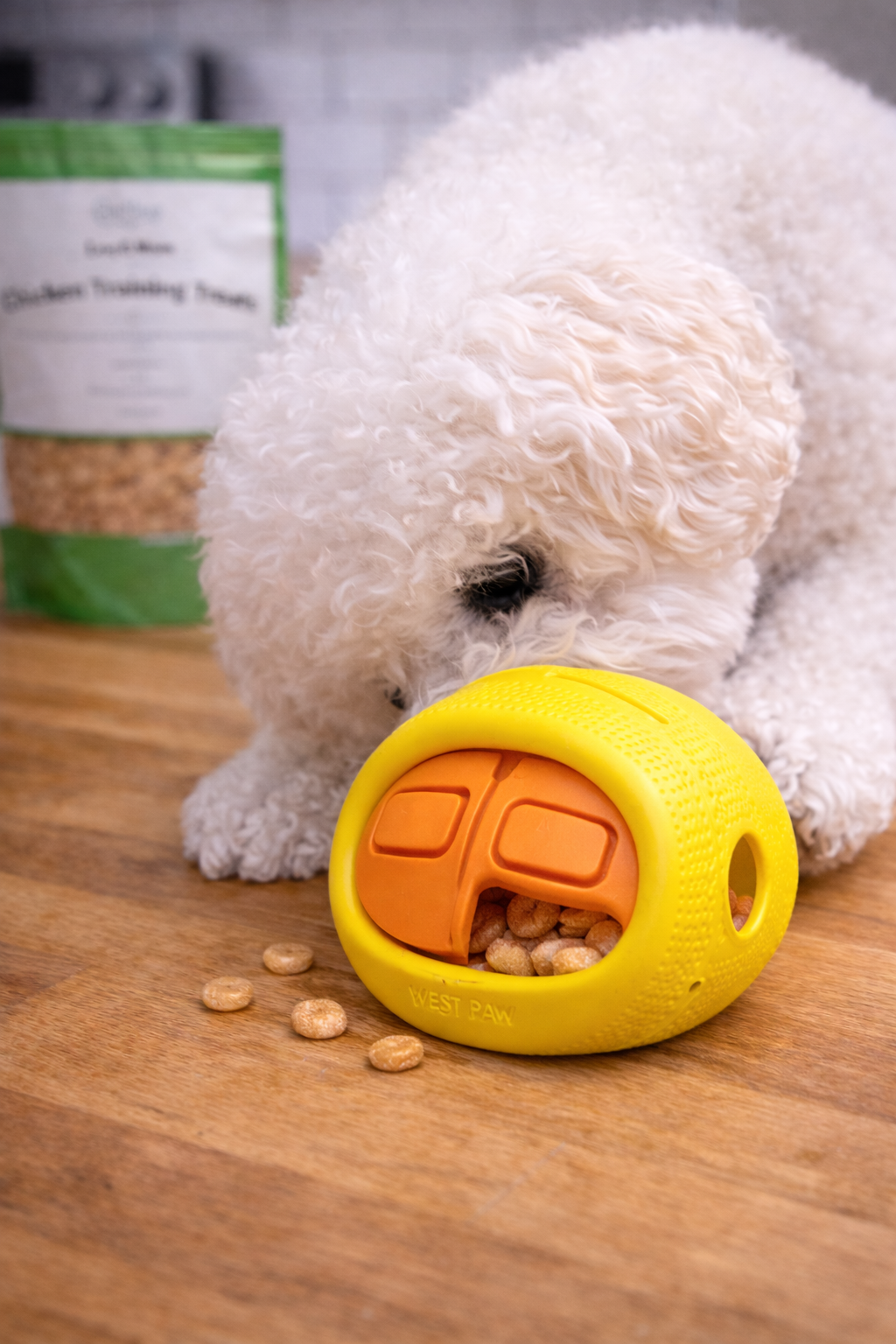 Chicken Training Treats