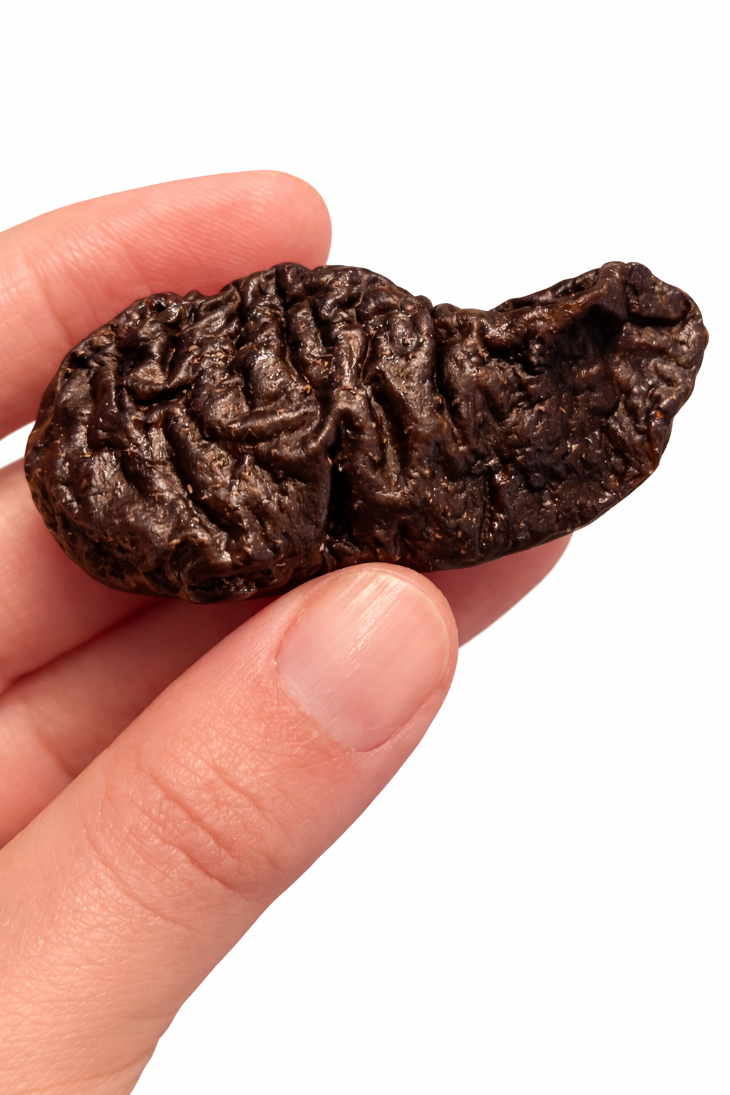 Dehydrated Beef Kidney