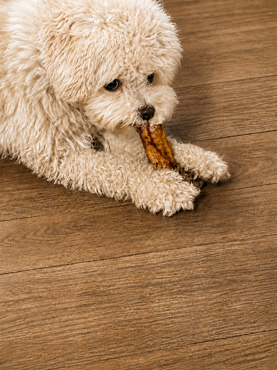 Bully Sticks