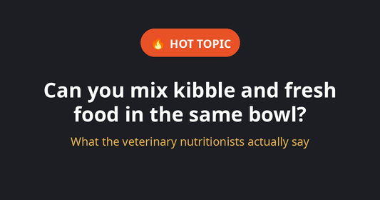 Can You Mix Kibble and Fresh Food? Here's How to Do It Right