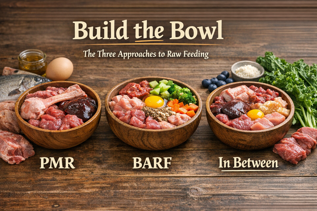 Part 2: The 2 Main Types of Raw Dog Diets (PMR vs BARF Explained)