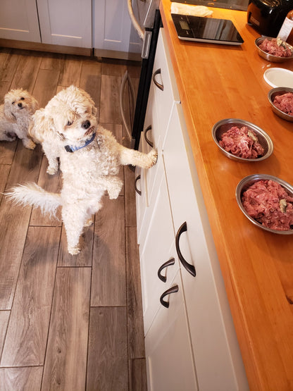 Fresh Raw Dog Food Subscription