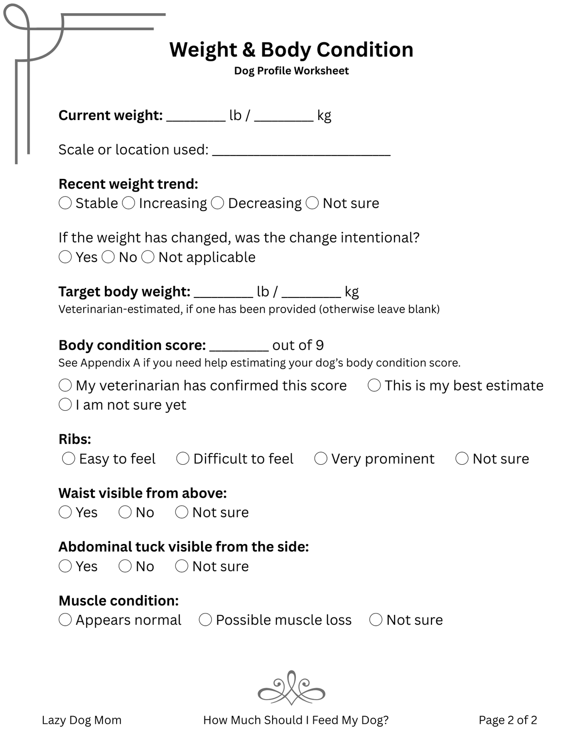 Meet Your Dog worksheet page preview