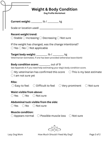 Meet Your Dog worksheet page preview