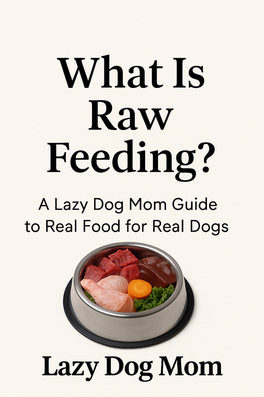 What is Raw Feeding Guide
