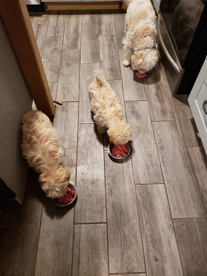 The Lazy Dog Mom™ Raw Feeding Starter Guide