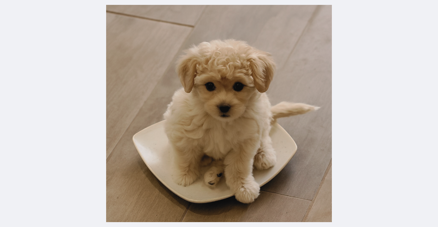 The Lazy Dog Mom™ Raw Feeding Starter Guide