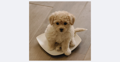 The Lazy Dog Mom™ Raw Feeding Starter Guide