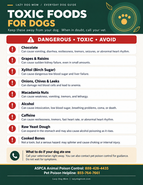 Toxic Foods for Dogs free one-page printable safety chart from Lazy Dog Mom