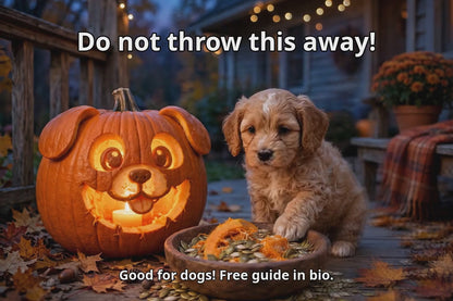 Free Pumpkin Prep Guide for Dogs